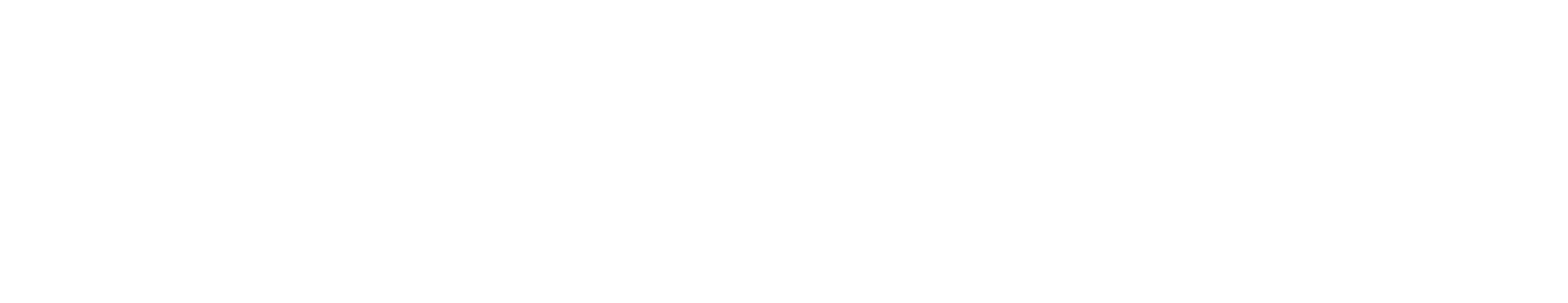 Estiam Logo Blanc